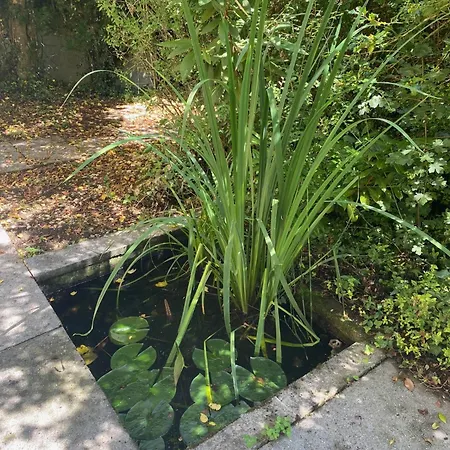 Beachroom 19m2 With Mountain View 홈스테이