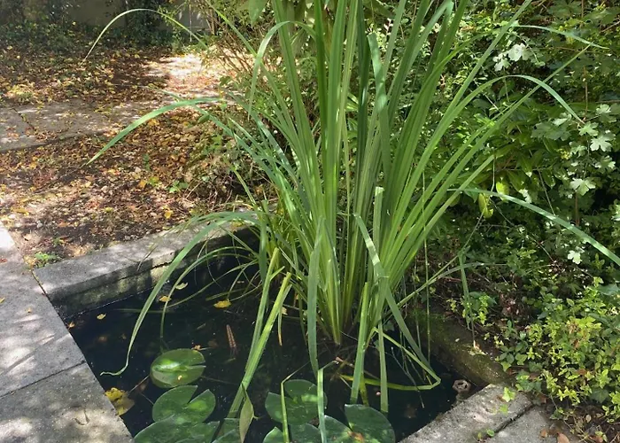 Beachroom 19m2 With Mountain View Privat bolig